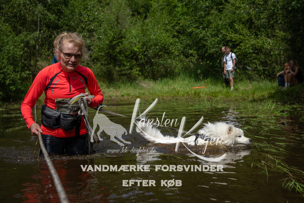1222DKK992643 | kk-dogfotos