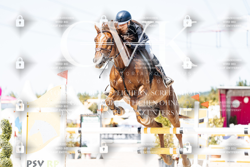 CK909883 | Turnierfotografie Pferdefotografie Trier Rheinland-Pfalz Pferdesport Reitsport Tierfotografie Sportfotografie Pferdevideo Pferdevideografie Equestrianvideography equestrianphotography  - Realisiert mit Pictrs.com