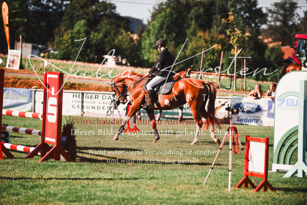 DSC_2171 | Pferde- und Turnierfotografie in Westsachsen. Pferdeportraits, Auftragszeichnungen und intuitive Kunst.