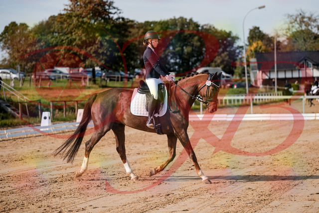 2026_10_03_Siefer-Hof_114721_Z63_25914847 | Professionelle Reitsport-, Turnier- und Eventfotografie von Robert Broda. Galerien mit ausgewählten und bearbeiteten Bildern direkt online ansehen und bestellen.