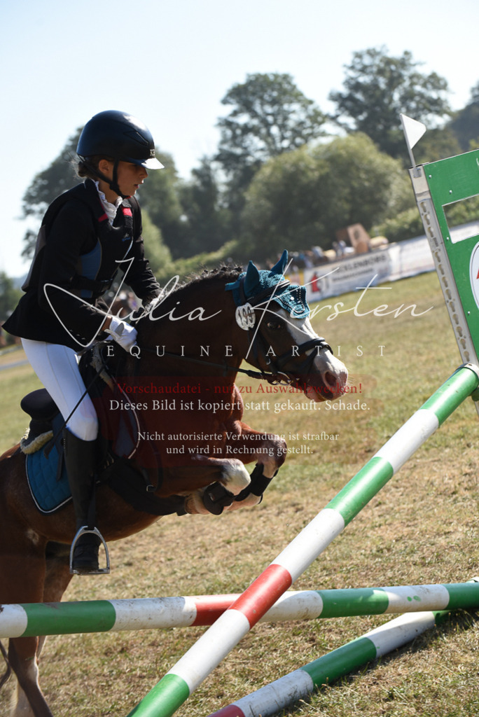 DSC_5940 | Pferde- und Turnierfotografie in Westsachsen. Pferdeportraits, Auftragszeichnungen und intuitive Kunst.