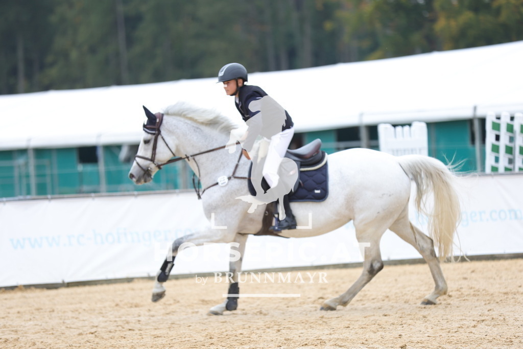 0P6A1208 | Willkommen bei Brunnmayr - Design & Fotografie – Ihrem Spezialisten für Reitturniere und Pferdeveranstaltungen in Oberösterreich, Salzburg und Bayern! Seit über 17 Jahren sind wir leidenschaftlich dabei.
