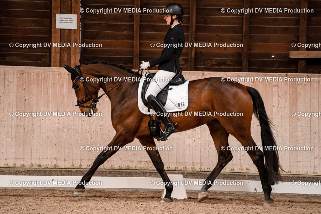 Dressur Tag 2-118 | dv-media-shop - Realisiert mit Pictrs.com