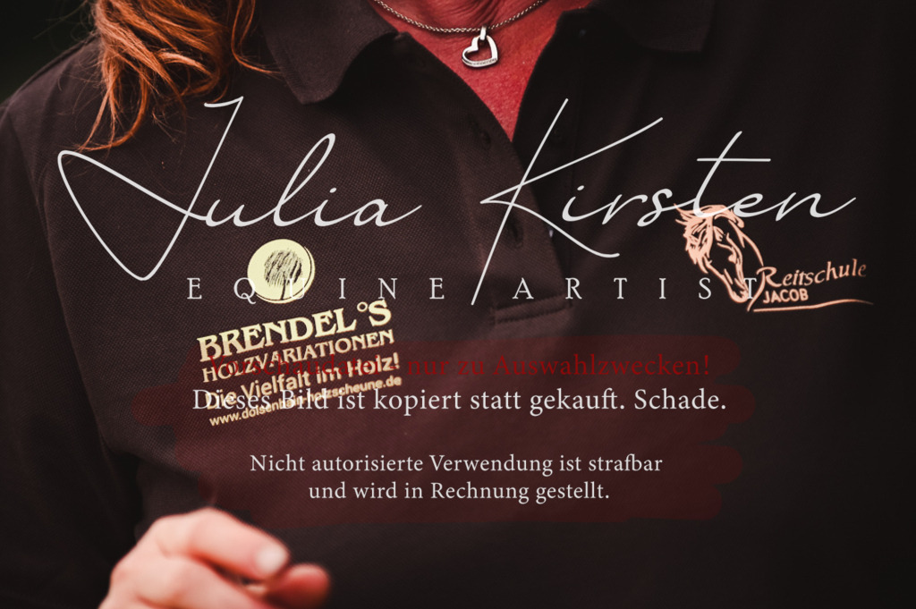 DSC_5751 | Pferde- und Turnierfotografie in Westsachsen. Pferdeportraits, Auftragszeichnungen und intuitive Kunst.