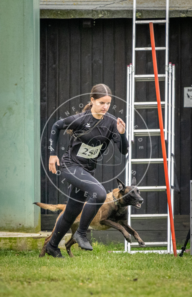Pfotenfotografie_DV3A0429 | Hundefotografie, Tierfotograf, Pfotenfotografie, Fotoshooting Hund, Hunde Portrait, Hundesport, Hundeportraits, Heideshooting, Hunde, Sportfotograf, Hundefotograf, Turnierhundsport, THS,  - Realisiert mit Pictrs.com