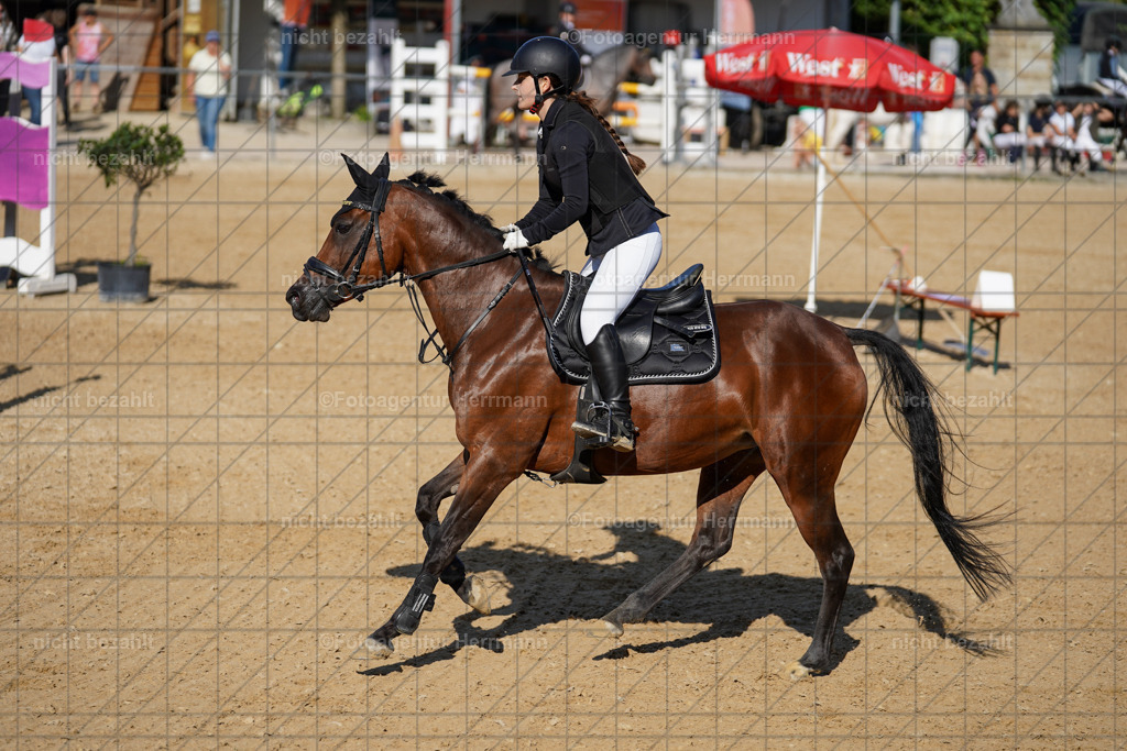 20240824-FAH07264 | Thierhaupten 2024, Bayerisches Landesponyturnier, Turnierbilder, Ponybilder, Turnierfotografen Bayern, Fotoagentur Herrmann