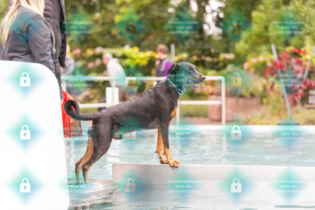 _HP_7372_1000o | HetPix, HetPix Fotodesign, Fotografie, Fotodesign, Webshop, Sportfotografie, Portraitfotografie, Onlineshop, Sportfotografie, Polch, Motorsportfotografie, Eventfotografie