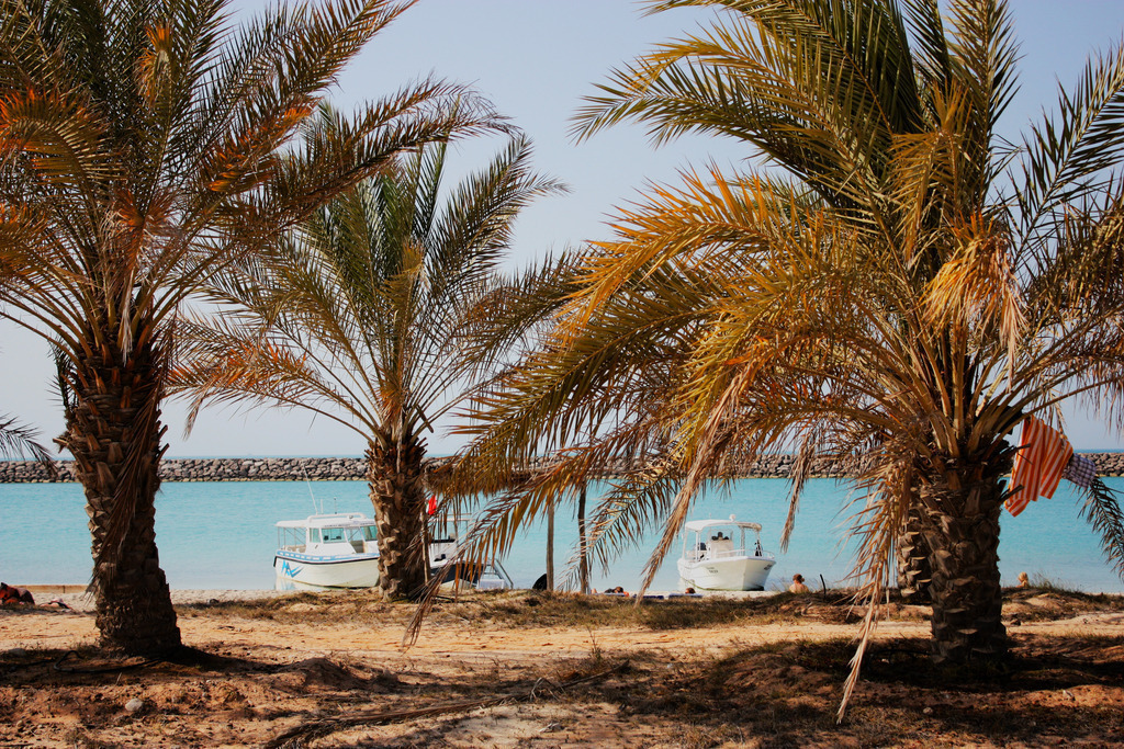 IMG_6365a | ansichtssache