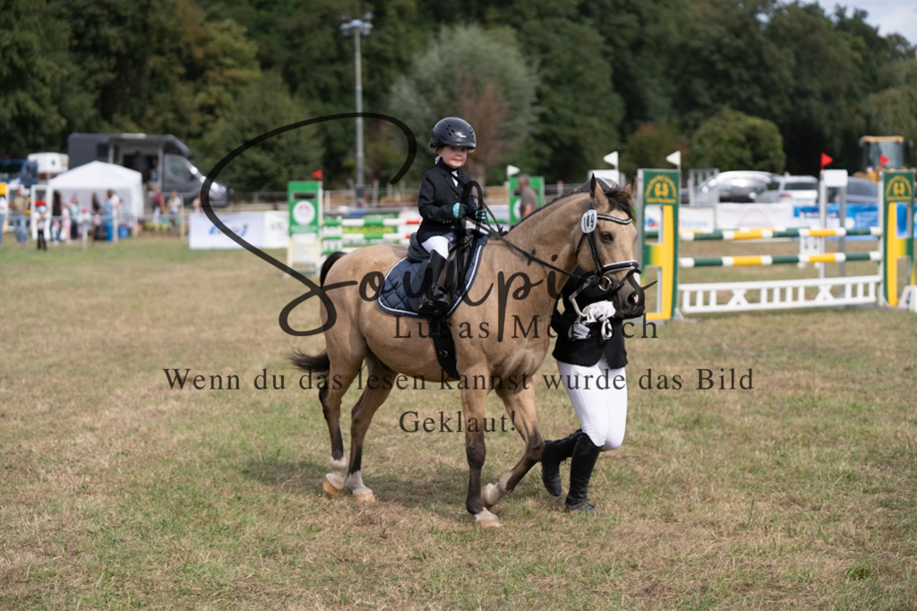 A7V08915 | Turnier/Reitfotograf