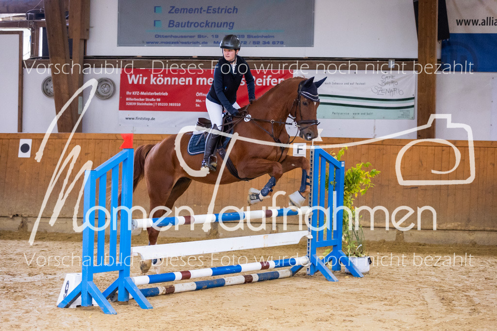 Sth-A-Springen-032 | MomenTaufnahmen Pferdesportfotos