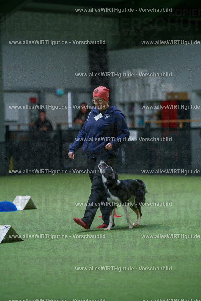 7R502739 | Professionelle Tierfotografie in Mönchengladbach von Daniel Wirth (allesWIRTHgut). Liebevolle & natürliche Bilder von Hunden & Katzen für unvergessliche Erinnerungen.