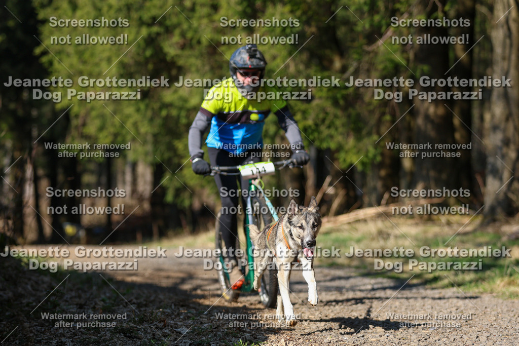 Dog Paparazzi - VCC26-85 | Dog Paparazzi Jeanette Grottendiek Fotografie & Videografie - Realisiert mit Pictrs.com