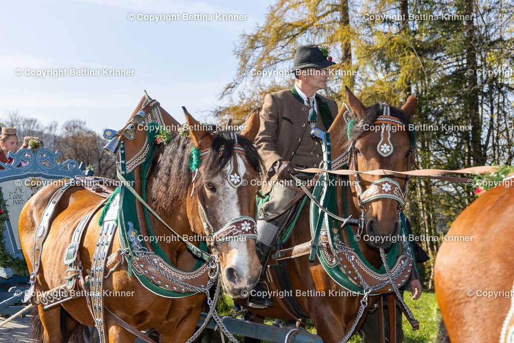 LBT24-1259 | foto-bettina-krinner - Realisiert mit Pictrs.com