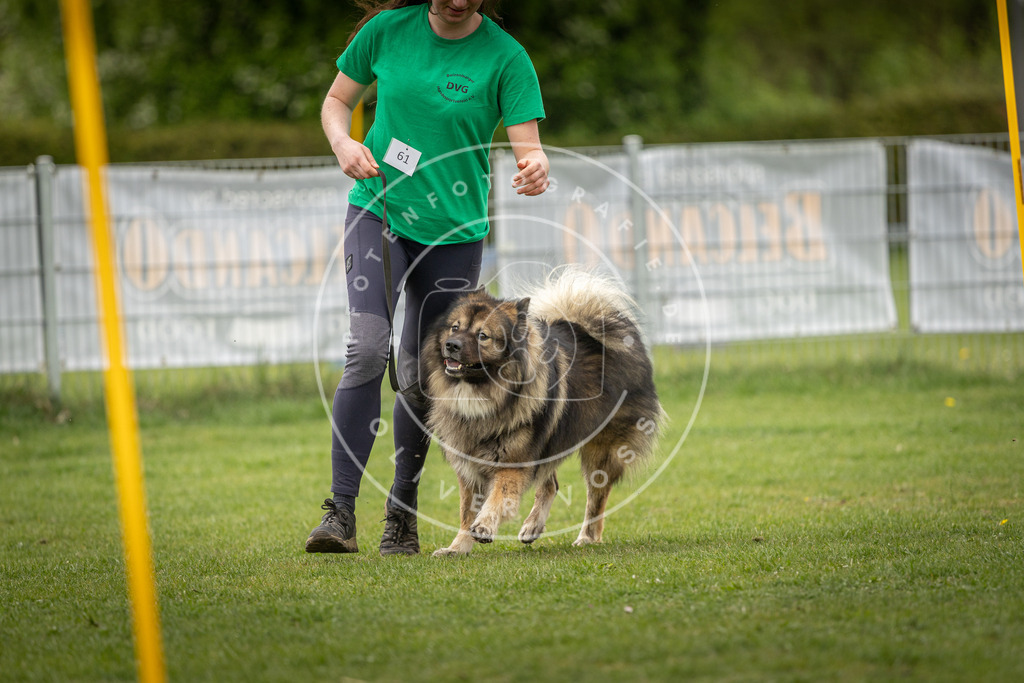 Pfotenfotografie_DV3A1734 | Hundefotografie, Tierfotograf, Pfotenfotografie, Fotoshooting Hund, Hunde Portrait, Hundesport, Hundeportraits, Heideshooting, Hunde, Sportfotograf, Hundefotograf, Turnierhundsport, THS,  - Realisiert mit Pictrs.com