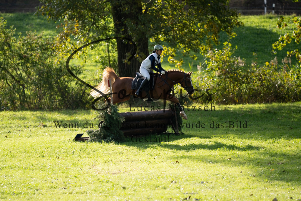 A7V03102 | Turnier/Reitfotograf