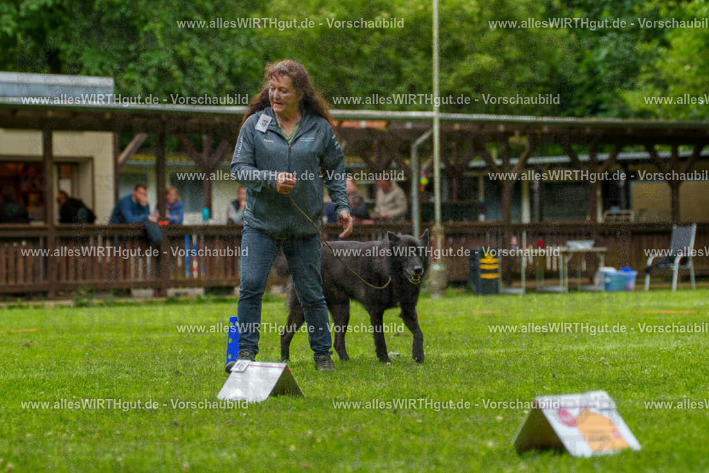 @allesWIRTHgut_Tierfotografie - www.allesWIRTHgut.de - 135545-7R500197 | Professionelle Tierfotografie in Mönchengladbach von Daniel Wirth (allesWIRTHgut). Liebevolle & natürliche Bilder von Hunden & Katzen für unvergessliche Erinnerungen.