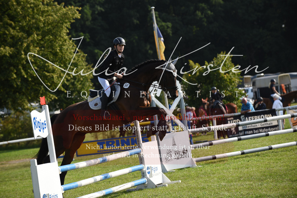 DSC_8664 | Pferde- und Turnierfotografie in Westsachsen. Pferdeportraits, Auftragszeichnungen und intuitive Kunst.