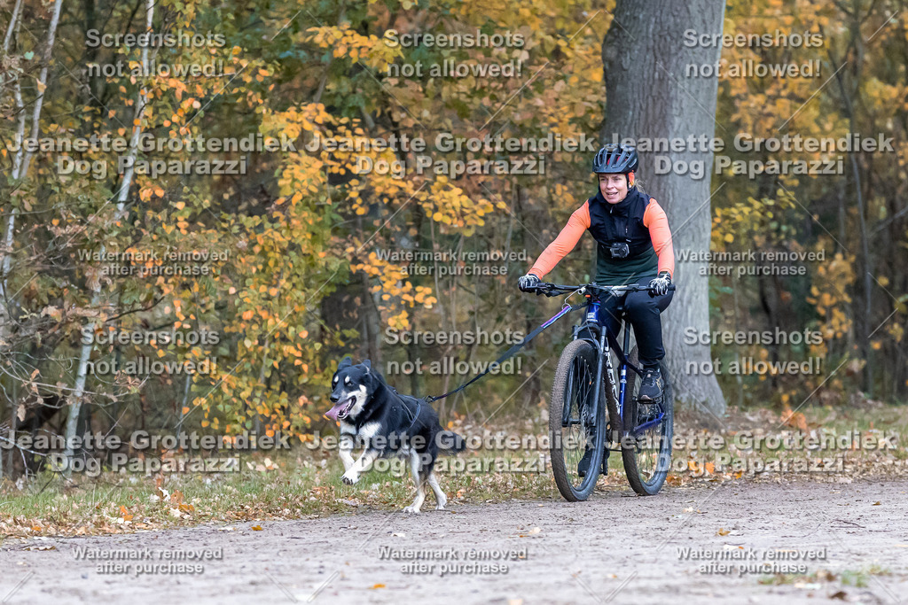 Dog Paparazzi - SD CaniX Championship 2025-218 | Dog Paparazzi Jeanette Grottendiek Fotografie & Videografie - Realisiert mit Pictrs.com