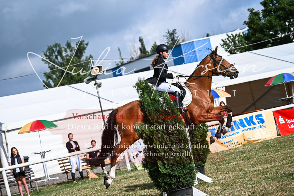DSC_7689 | Pferde- und Turnierfotografie in Westsachsen. Pferdeportraits, Auftragszeichnungen und intuitive Kunst.