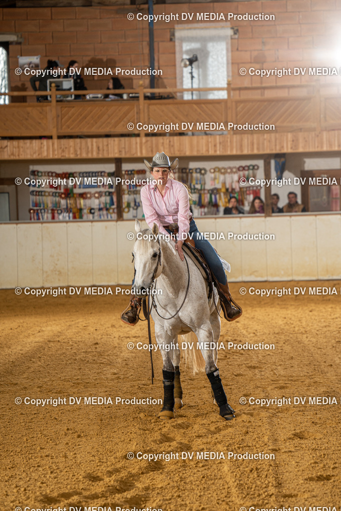 MIT00991 | dv-media-shop - Realisiert mit Pictrs.com