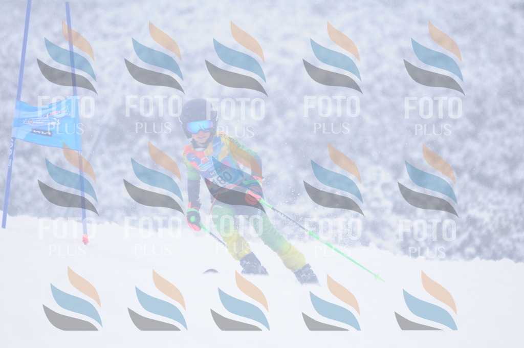 C2080 | holidayphoto