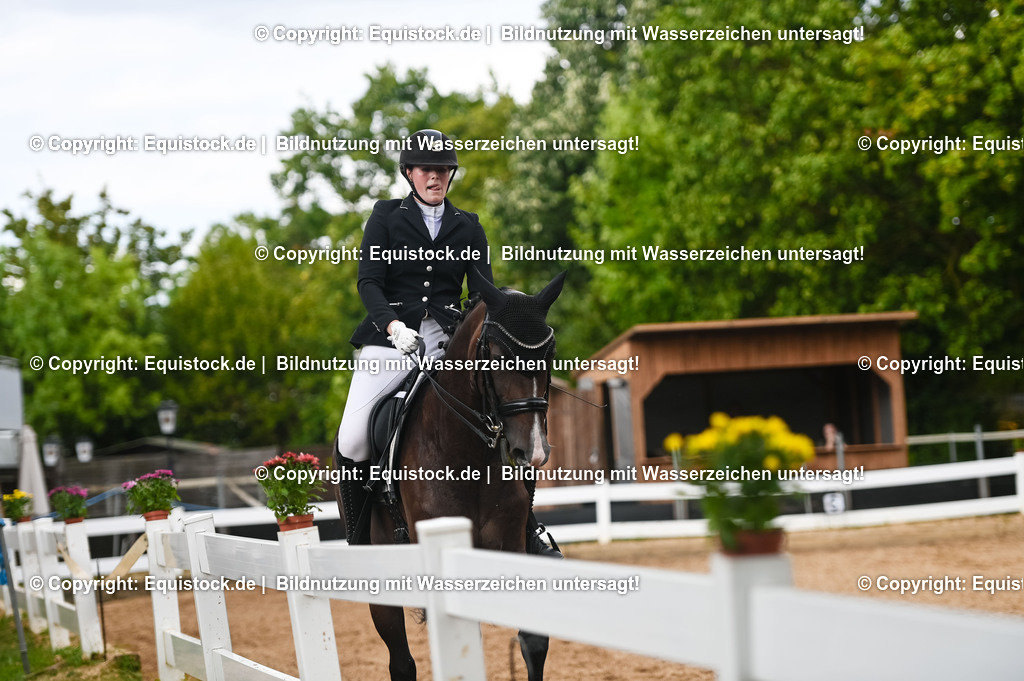 20230716_01_Dressurprüfung Kl.M_0516 | equistock