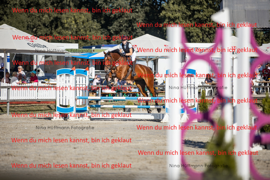 BK1A7596 | Turnierbilder Turnierfotos Nina Hüffmann Turnierfotografie Pferdefotografie Tierzeichnung Haustierzeichnung Pferdezeichnung Hundezeichnung Videograf  - Realisiert mit Pictrs.com