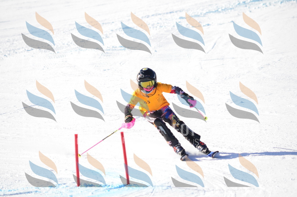 C5808 | holidayphoto