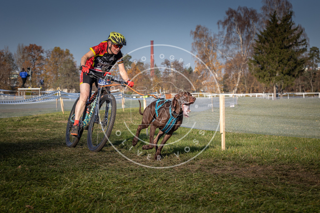 CaniXpix_0L8A6608 | Hundefotografie, Tierfotograf, Pfotenfotografie, Fotoshooting Hund, Hunde Portrait, Hundesport, Hundeportraits, Heideshooting, Hunde, Sportfotograf, Hundefotograf, Turnierhundsport, THS,  - Realisiert mit Pictrs.com