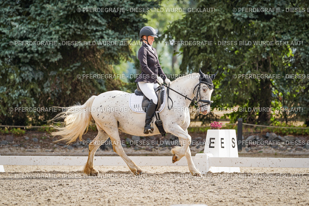 DSC01042 | Pferdegrafie