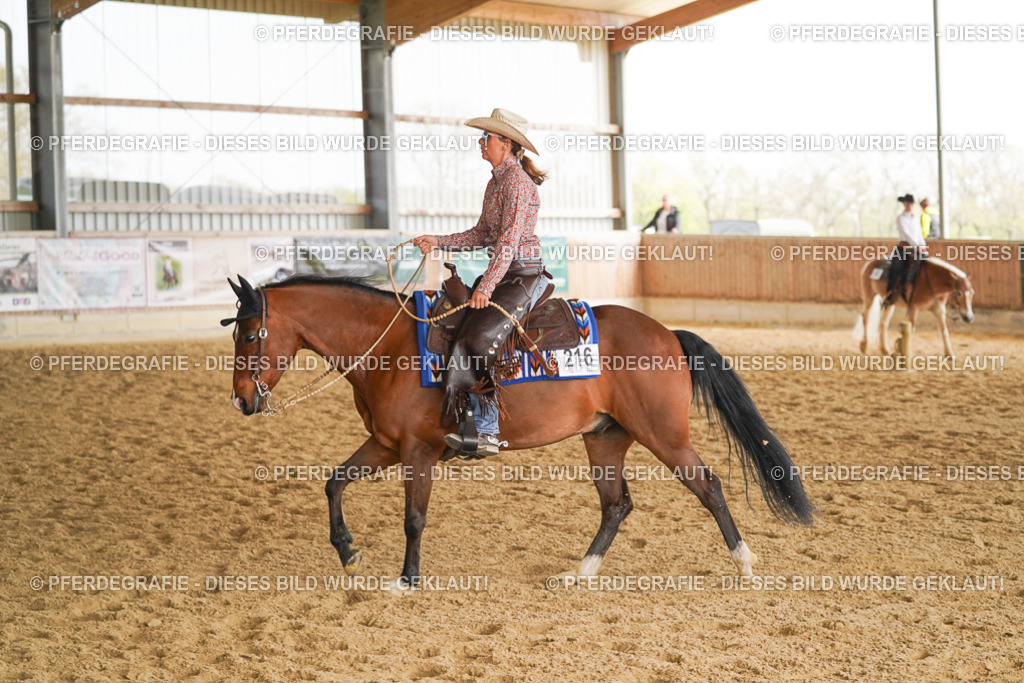 DSC01040 | Pferdegrafie