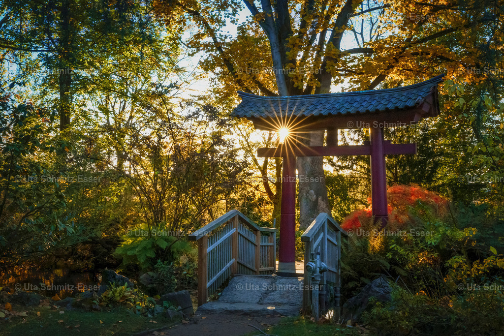 Leverkusen_japanischer-Garten_03 | CEUS Design - Realisiert mit Pictrs.com