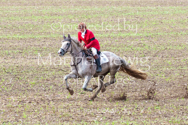 Jagd Perdoel 26 Sony-04011_MarinaHewig | Fotografie, FotoArt, PferdesportArt, Pferdesportfotografie, Landschaftsfotografie, Reisefotografie, Reise, Pferde - Realisiert mit Pictrs.com