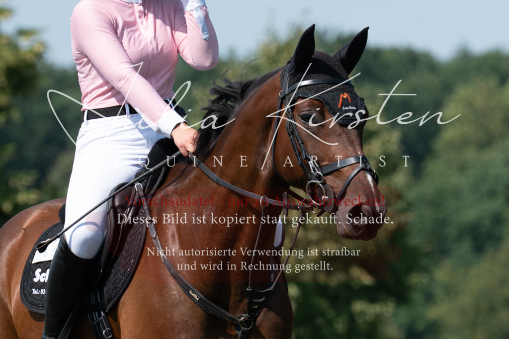 DSC_0620 | Pferde- und Turnierfotografie in Westsachsen. Pferdeportraits, Auftragszeichnungen und intuitive Kunst.