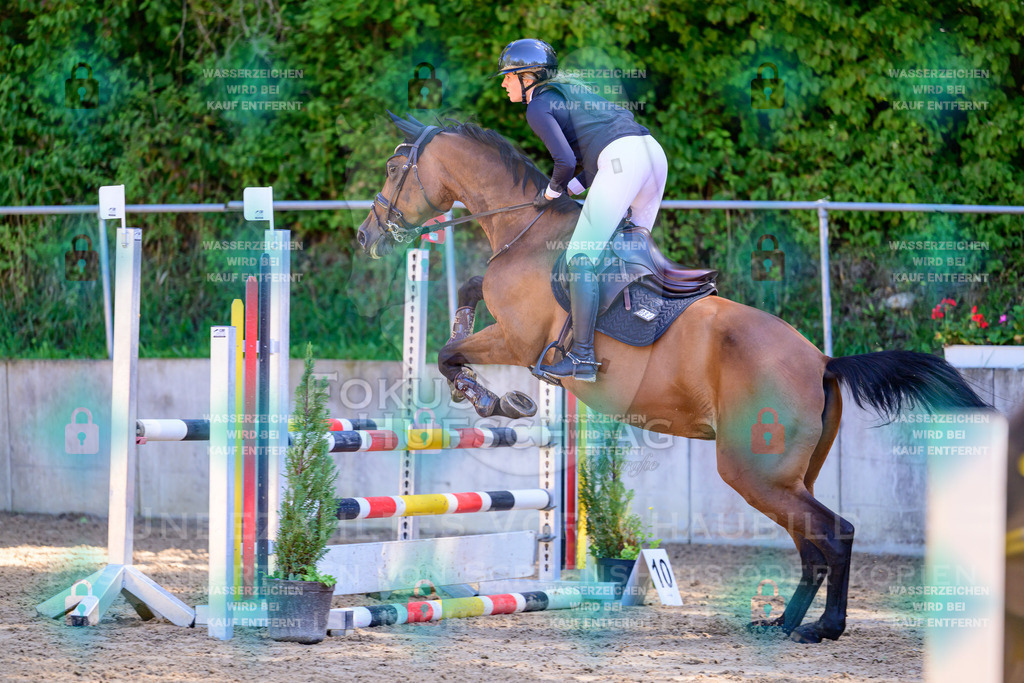 29082026-Giesenbach-Prfg10-0565 | Fokus Hufschlag Fotografie - Realisiert mit Pictrs.com