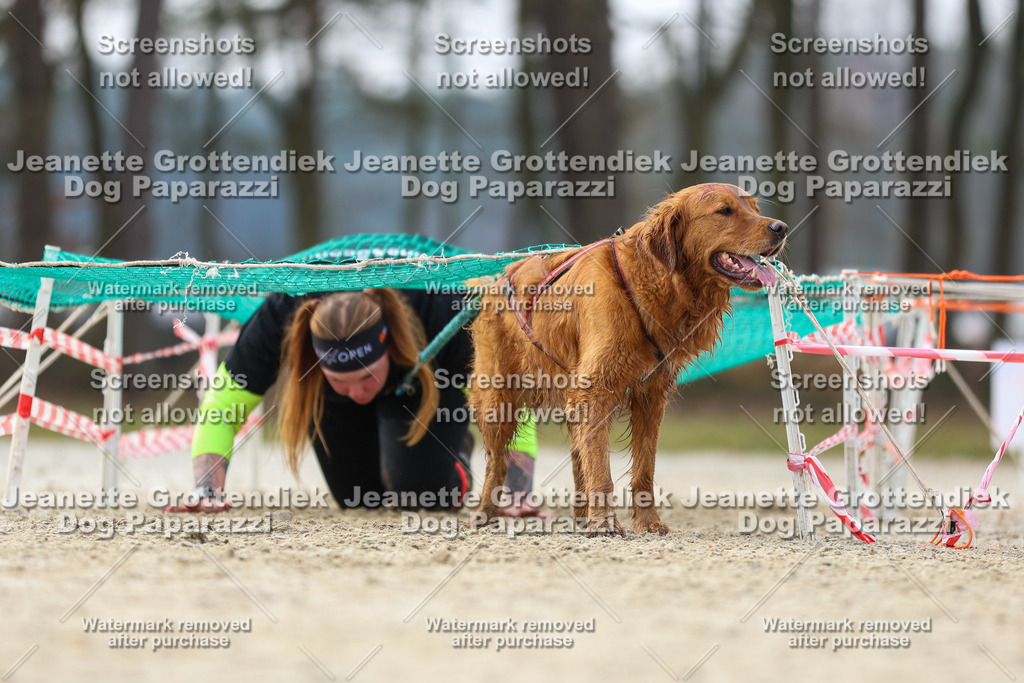 Dog Paparazzi - Strongdog North Mrz26-4706 | Dog Paparazzi Jeanette Grottendiek Fotografie & Videografie - Realisiert mit Pictrs.com