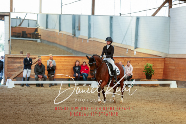 _62_7452 | Turniersportfotografie; Pferdefotografie; Dressurfotografie