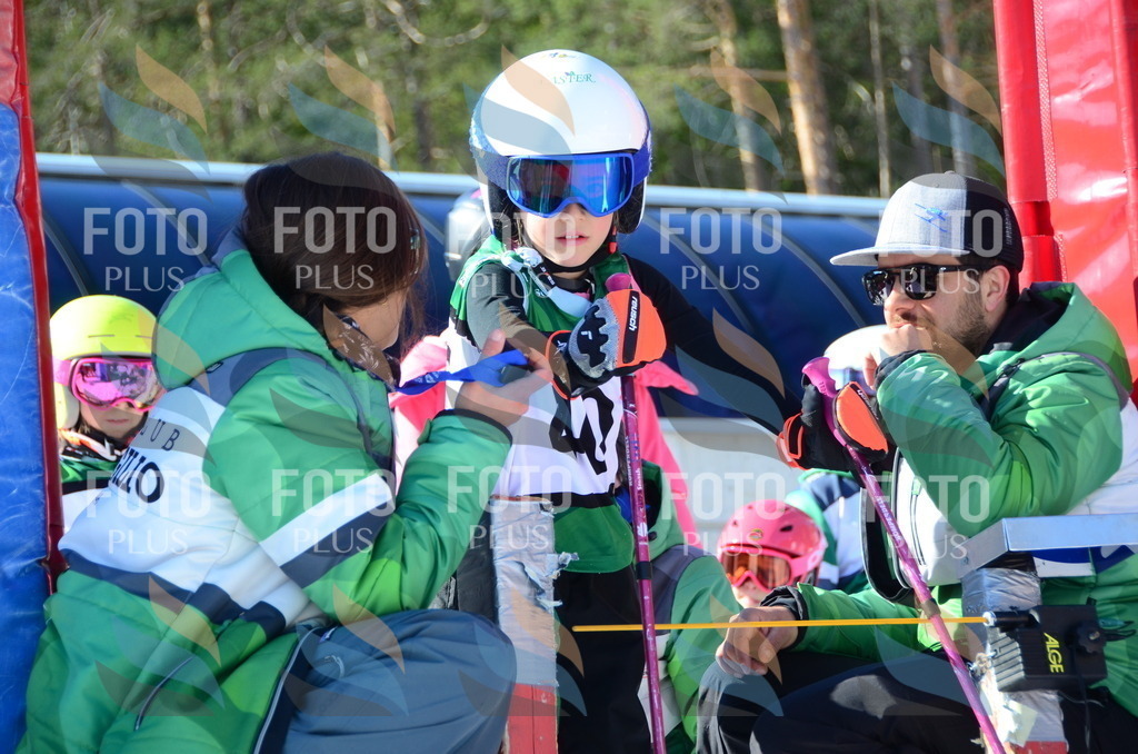 C5040 | holidayphoto