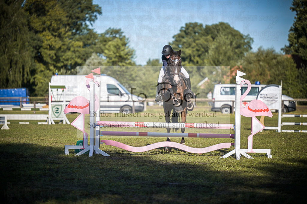 DOS_0445 | Entdecke hochwertige Reitturnierfotos von Foto Oger. Professionell, emotional und authentisch – jetzt Lieblingsmomente im Shop bestellen.Deutschlandweite Turnierfotografie. - Realisiert mit Pictrs.com