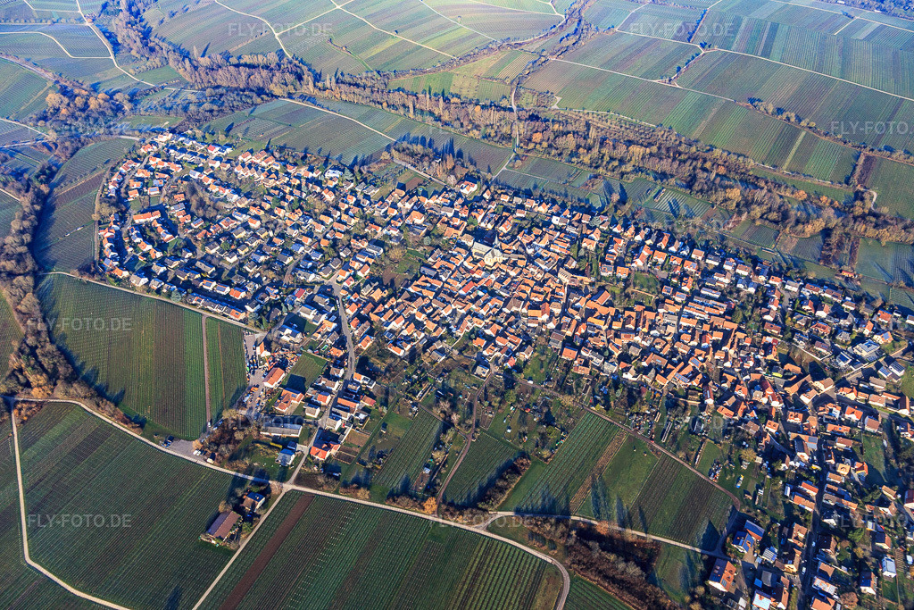 Luftbild: Ortsansicht von Süden im Ortsteil Arzheim in Landau im Bundesland Rheinland-Pfalz in Deutschland. Foto: IMG_120018.jpg vom 07.02.2020 durch Werner Riehm/FLY-FOTO.de