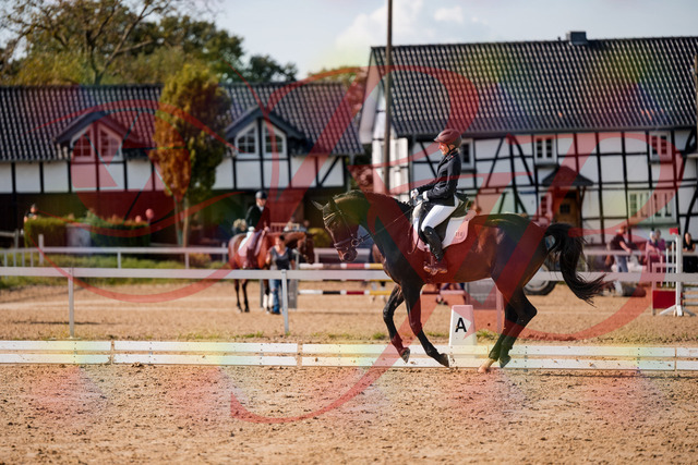 2026_10_03_Siefer-Hof_133657_Z63_98834059 | Professionelle Reitsport-, Turnier- und Eventfotografie von Robert Broda. Galerien mit ausgewählten und bearbeiteten Bildern direkt online ansehen und bestellen.