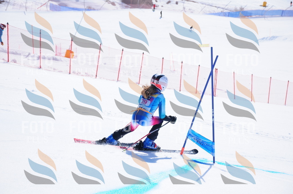 DSC_4048 | holidayphoto