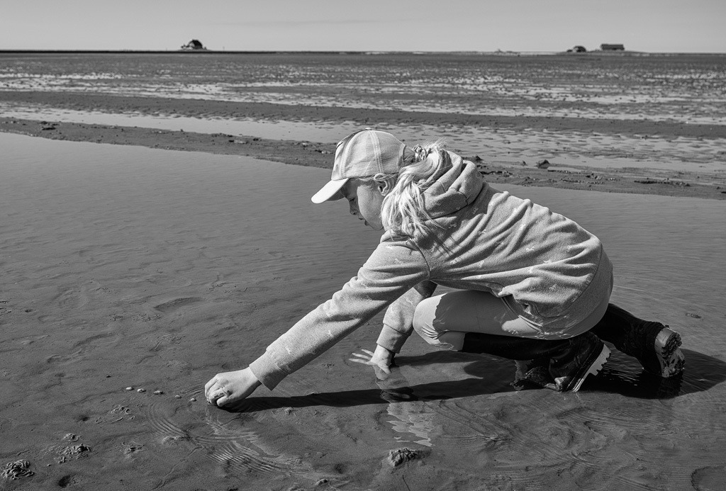 Halligschule Nordstrandischmoor © Holger Rüdel | Der Online-Shop von Holger Rüdel. Ausgewählte Fotografien als FineArt-Prints bestellen: Bildreportagen, Landschaften, Wildlife, Infrarot-Motive in Schwarzweiß und Zeitgeschichte im Bild. - Realisiert mit Pictrs.com