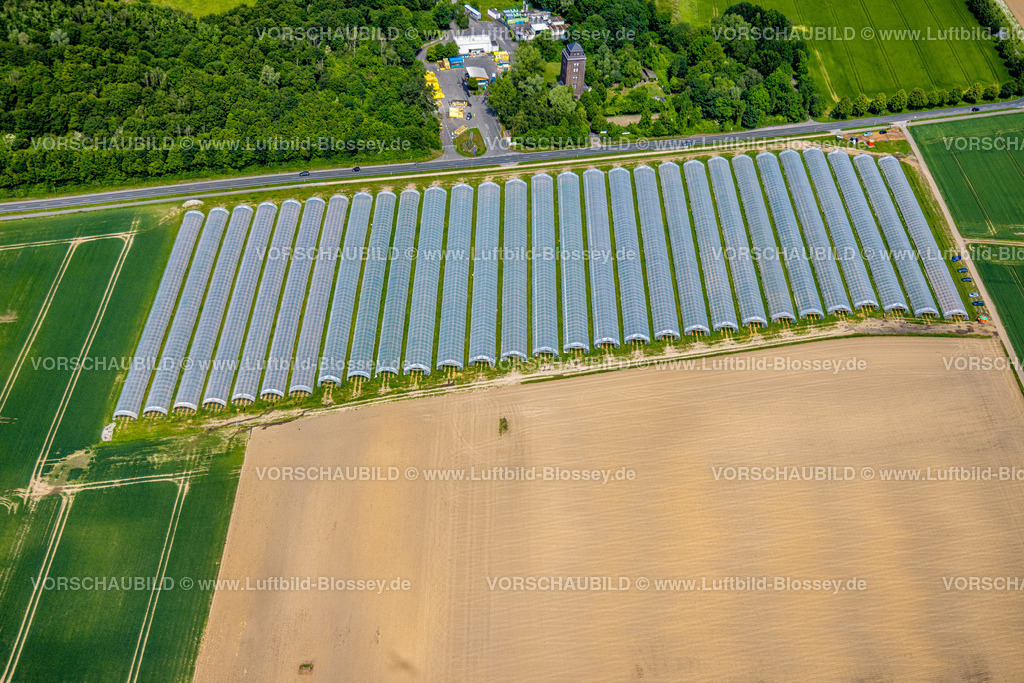 Dortmund240507390 | Erdbeerfelder mit Schutzabdeckung, Erdbeeranbau unter Folie, Bönninghauser Straße, Luftbild, Hostedde, Dortmund, Ruhrgebiet, Nordrhein-Westfalen, Deutschland