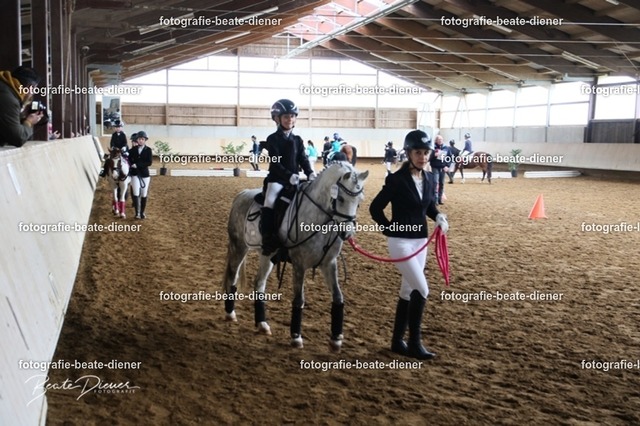 JugendTrophy.II0011 | Fotografie, Tiere, Hunde, Katzen, Pferde, Sportfotografie, Fotosession, Tierfotografie, Turnierfotografie, Fotografin, Fotograf - Realisiert mit Pictrs.com