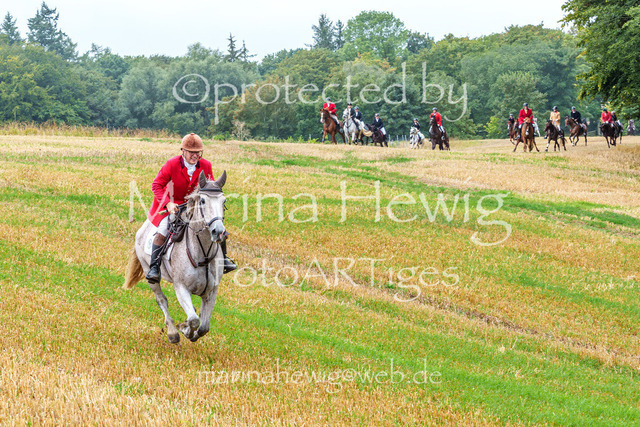 Jagd Kletkamp 26-02861_MarinaHewig | Fotografie, FotoArt, PferdesportArt, Pferdesportfotografie, Landschaftsfotografie, Reisefotografie, Reise, Pferde - Realisiert mit Pictrs.com