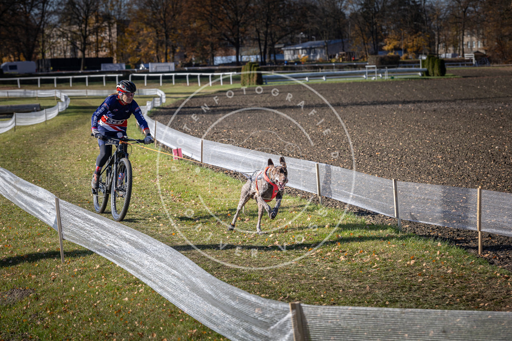 CaniXpix_DV3A7546 | Hundefotografie, Tierfotograf, Pfotenfotografie, Fotoshooting Hund, Hunde Portrait, Hundesport, Hundeportraits, Heideshooting, Hunde, Sportfotograf, Hundefotograf, Turnierhundsport, THS,  - Realisiert mit Pictrs.com