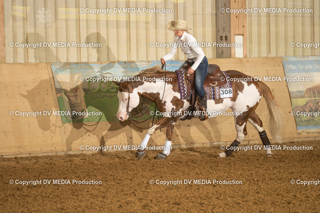 LAU00471 | dv-media-shop - Realisiert mit Pictrs.com