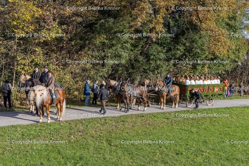 LBT24-252 | foto-bettina-krinner - Realisiert mit Pictrs.com