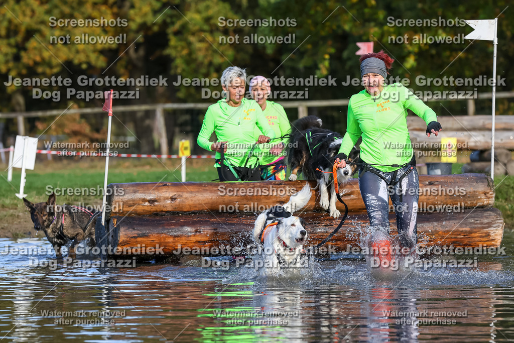 Dog Paparazzi - Strongdog 10-25-8498 | Dog Paparazzi Jeanette Grottendiek Fotografie & Videografie - Realisiert mit Pictrs.com